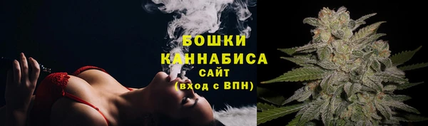 дживик Зеленодольск